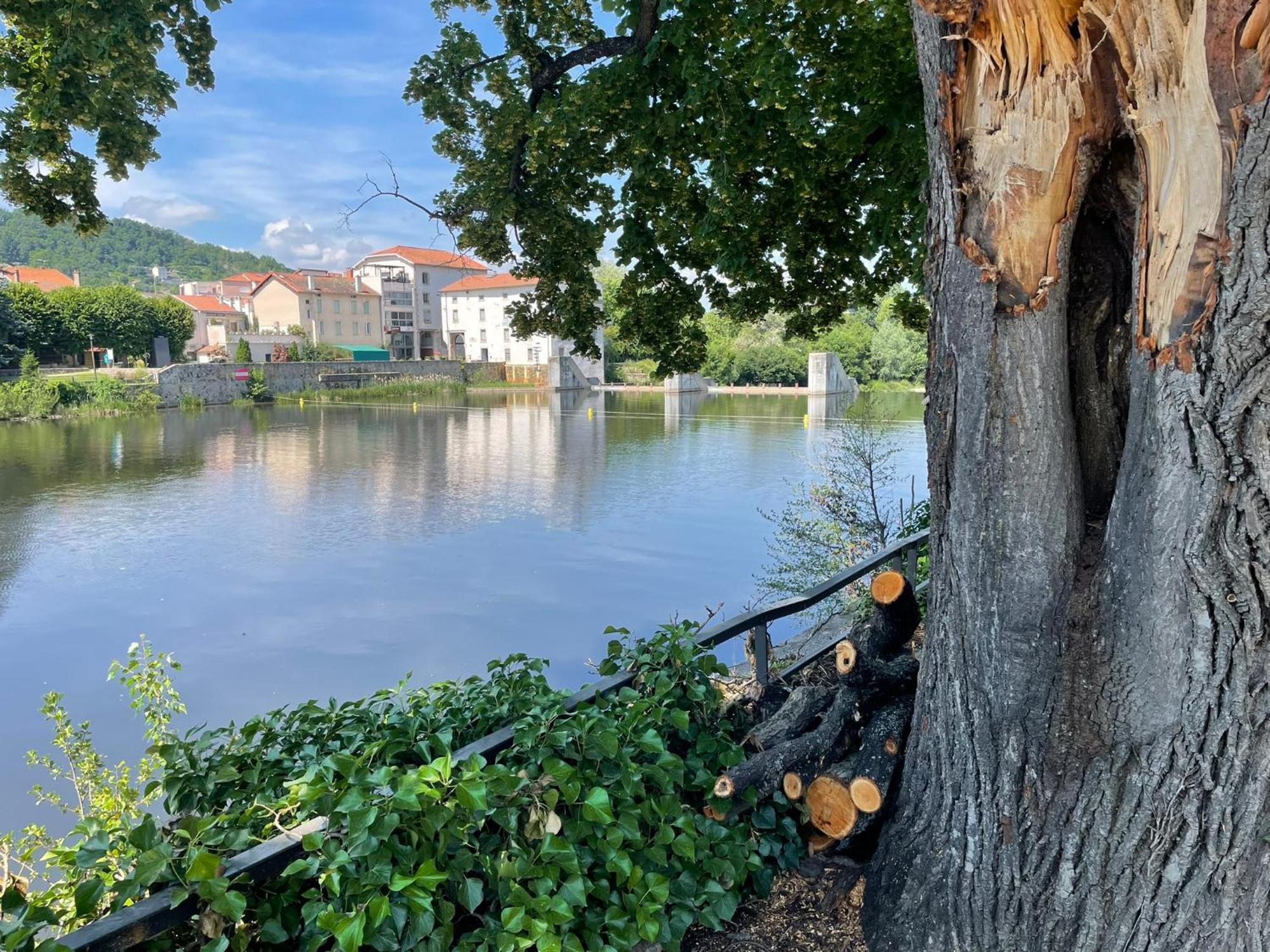 La Brivoise - Maison Calme Et Cosy , Wifi, A 5Min Du Puy Villa Brives-Charensac Esterno foto